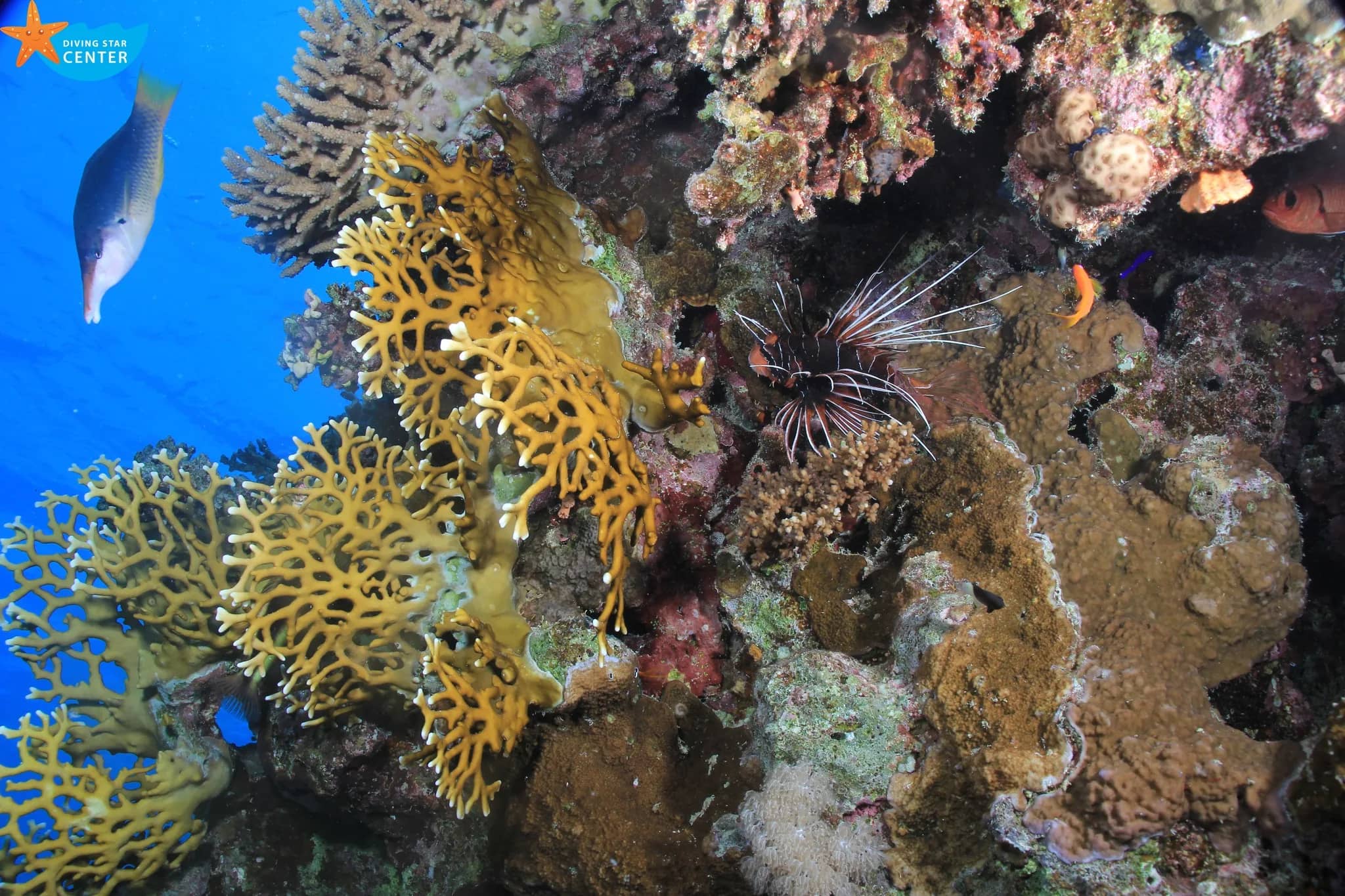 PADI Divemaster supporting view one