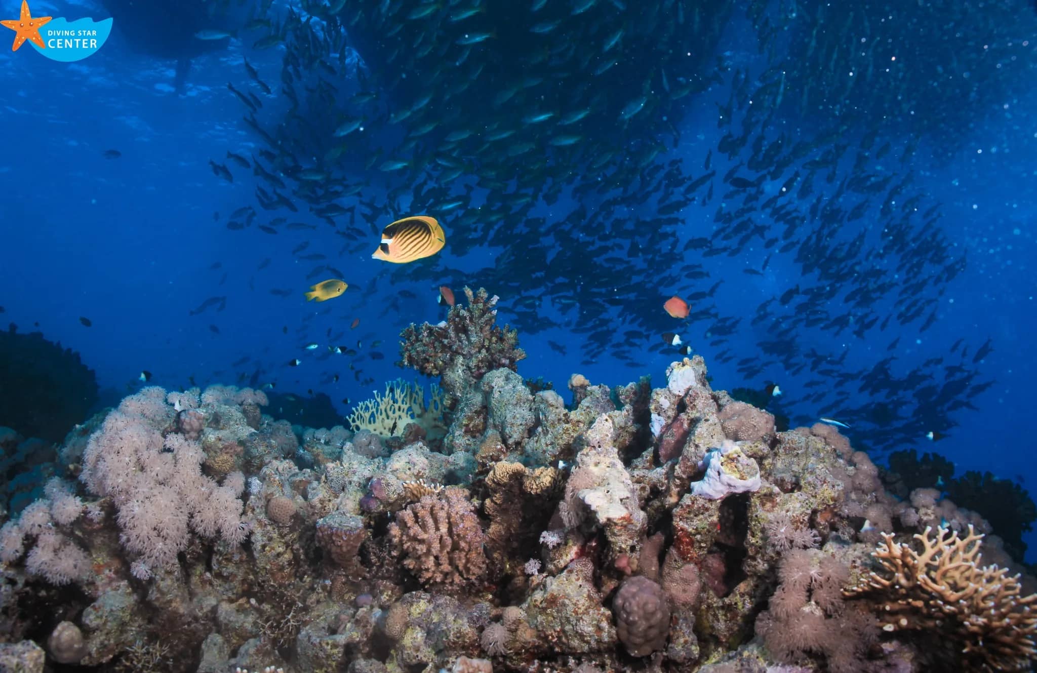 PADI Divemaster supporting view two