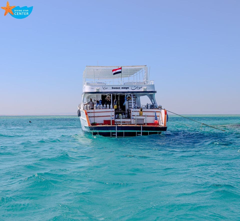Sweet Maya in Hurghada preview 3