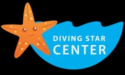 Diving Star logo