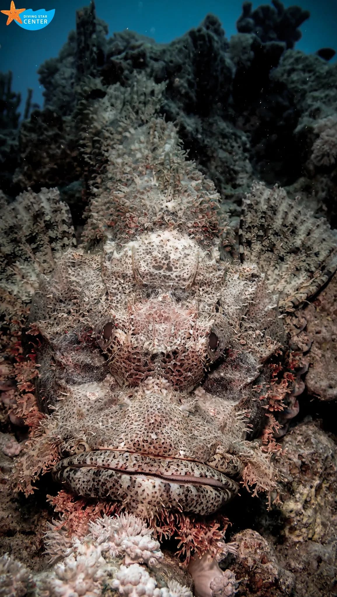 Underwater archaeological exploration of sunken vessels in Red Sea