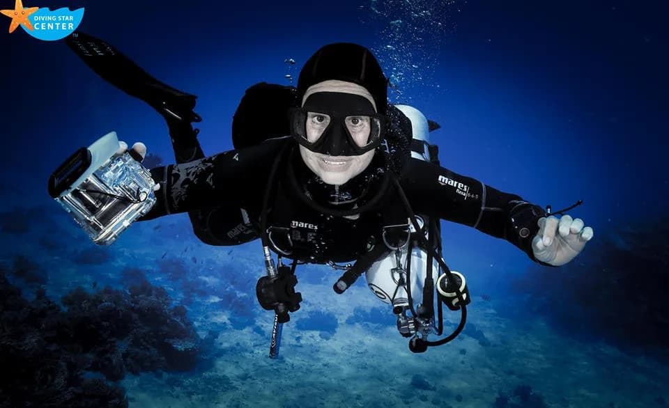 daily diving