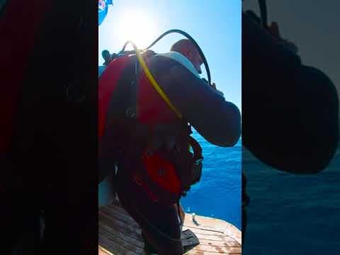 Diving Star - Instant réel en mer Rouge