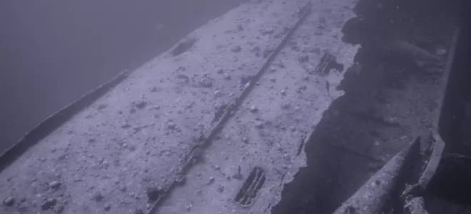 Salem Express - Red Sea diving view 2
