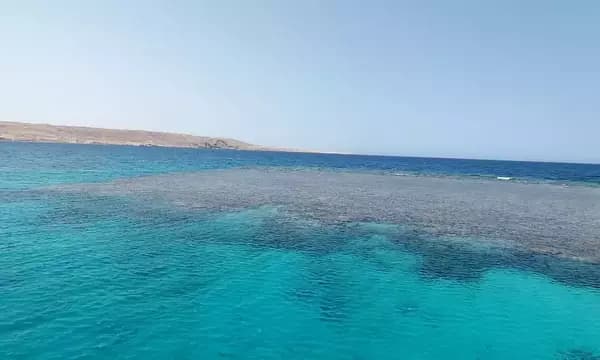 Turfa El Shahed - Red Sea diving view 2