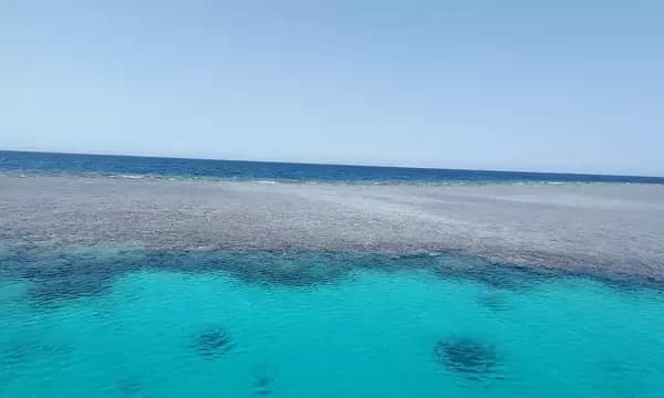 Turfa El Shahed