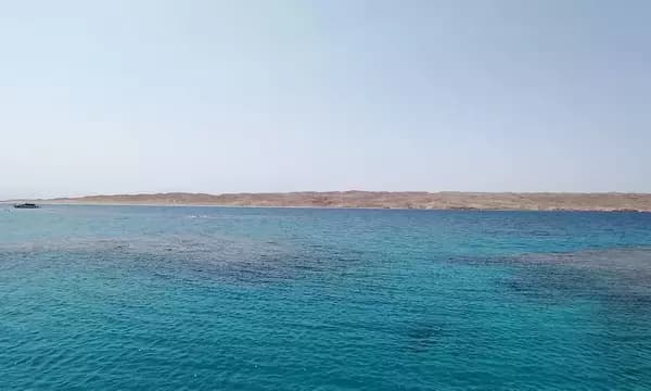 Turfa El Shahed - Red Sea diving view 3