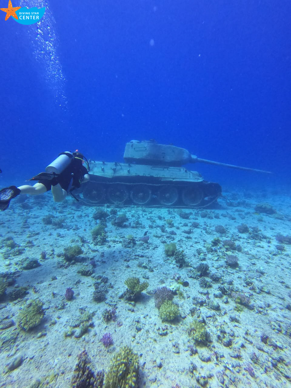 Daily Diving Hurghada | 2 Dives/Day from EUR 55 - Diving Star
