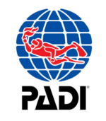 Padi
