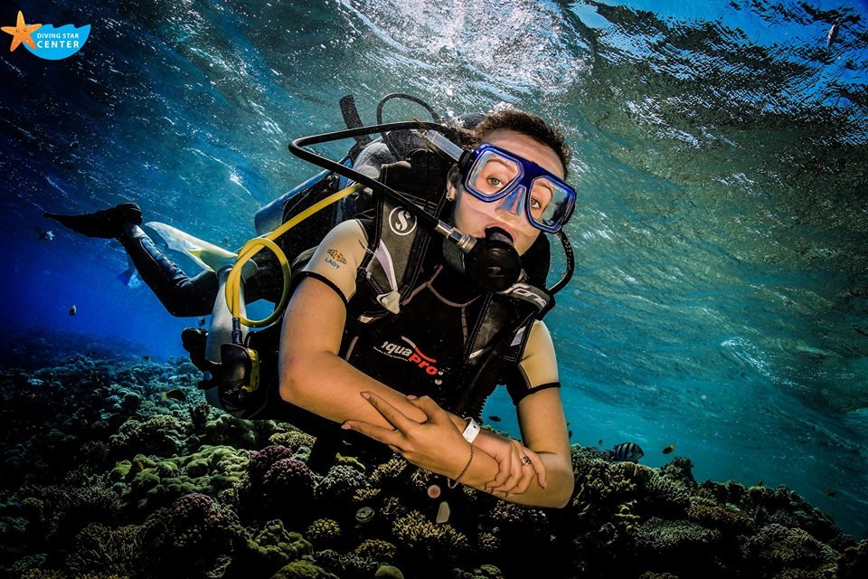 Diving in hurghada Diving Star Diving Center Daily Dive Diving