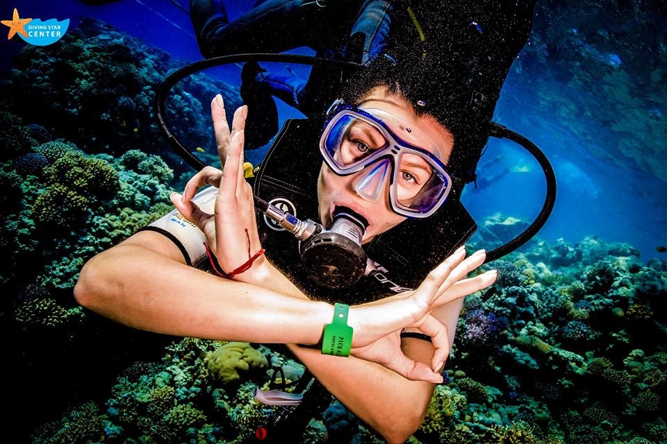 Diving in hurghada Diving in Hurghada Diving Star Scuba Diving