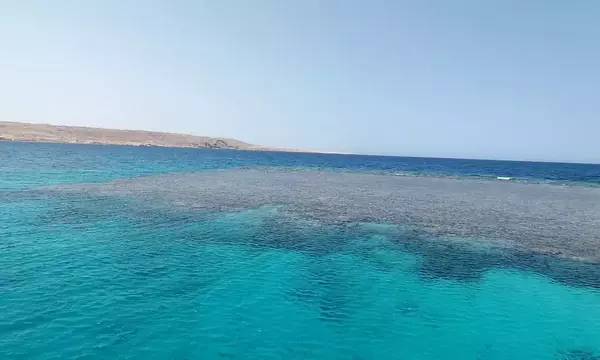 Torfa El Shahid Dive Site